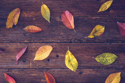 High angle view of leaves on table