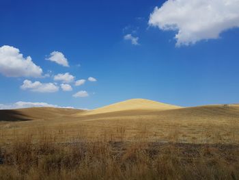 Scenic view of field against blue sky