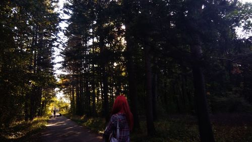 Rear view of woman walking amidst trees in forest