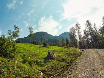 Scenic view of landscape against sky