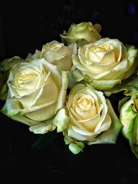 Close-up of rose bouquet