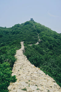 Footpath leading towards mountain against sky