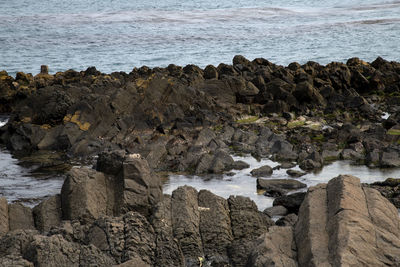 Rock formation on sea shore