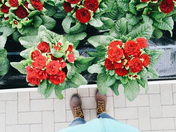 Low section of man standing by flowers