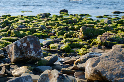 Rocks on beach