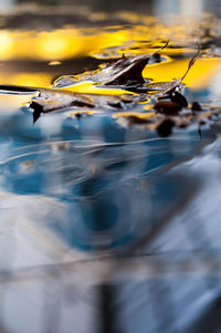 Close-up of reflection in water