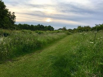 Scenic view of field against sky