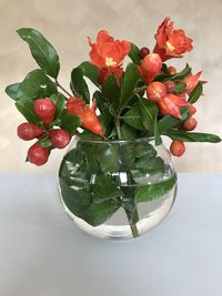 Close-up of red berries on table
