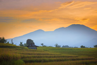 Scenic view of field against sky during sunset