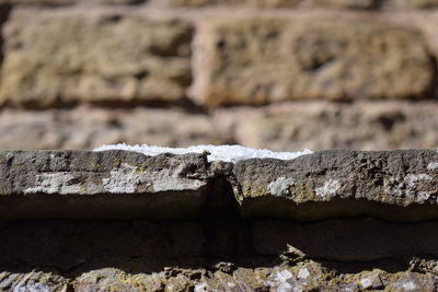 Close-up of rocks against wall