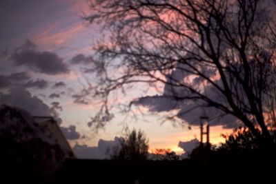 Silhouette trees against sky during sunset