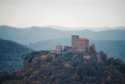 Trees and buildings against sky