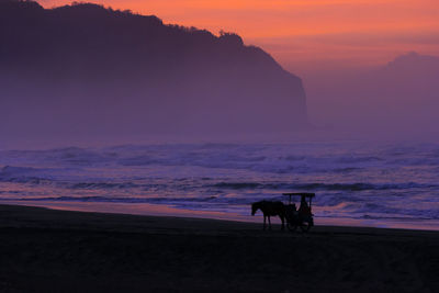 Silhouette horse standing on land against sunset sky