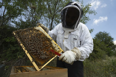 Wide-angle shot of a beekeeper and a beehive frame on a sunny day