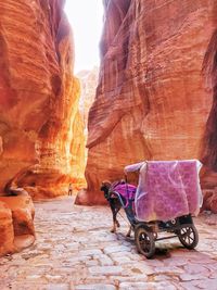 Horse cart on street amidst rock formations