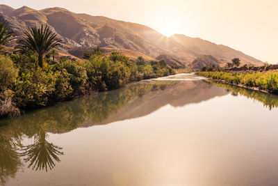 Reflection of trees in lake