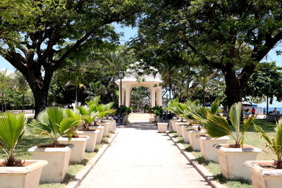 Footpath in park