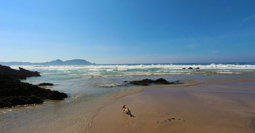 Scenic view of sea against blue sky