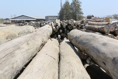 Stack of wooden logs against sky