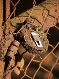 Close-up of rusty metal fence