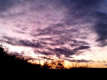 Silhouette of trees against dramatic sky