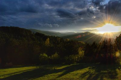 Sunlight streaming through trees on landscape against sky during sunset