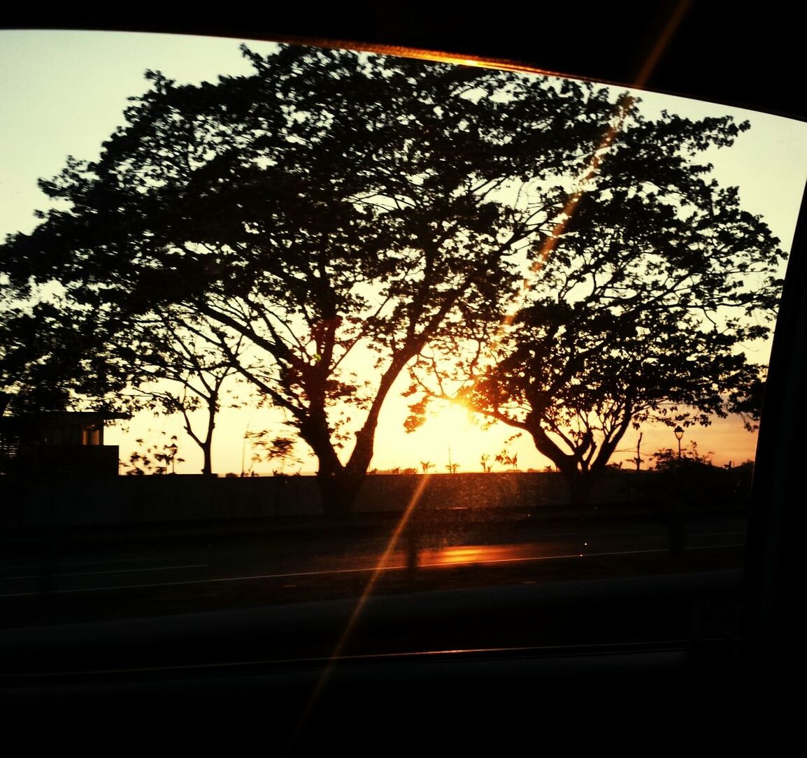 sunset, silhouette, sun, tree, sunlight, sky, orange color, sunbeam, nature, bare tree, lens flare, transportation, back lit, tranquility, built structure, no people, branch, beauty in nature, scenics, outdoors