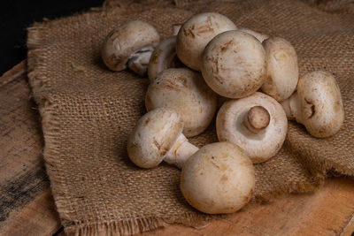 Close-up of mushrooms