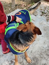 High angle view of man standing with dog
