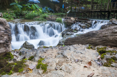 Scenic view of waterfall in forest