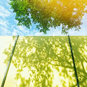 Low angle view of plant against sky on sunny day