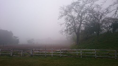 View of field in foggy weather