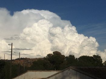 Panoramic view of trees against sky