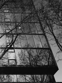 Low angle view of bare tree against sky