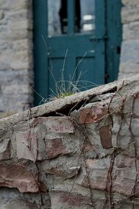 Close-up of brick wall