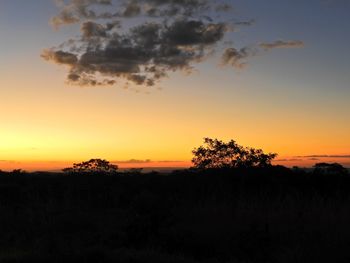 Silhouette trees on field against orange sky