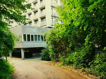 Building with trees in background