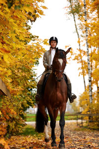 Rear view of woman riding horse on field