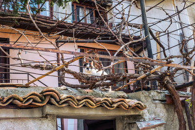 Low angle view of an abandoned building