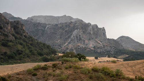 Scenic view of landscape and mountains against clear sky