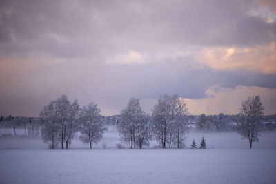 Winter morning landscape with snow covered trees,fog and blue cloudy sky