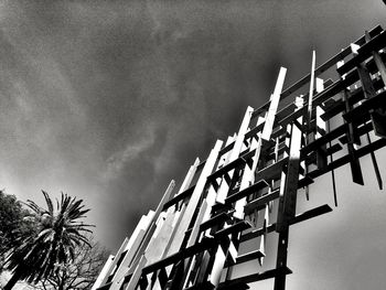 Low angle view of palm trees against sky