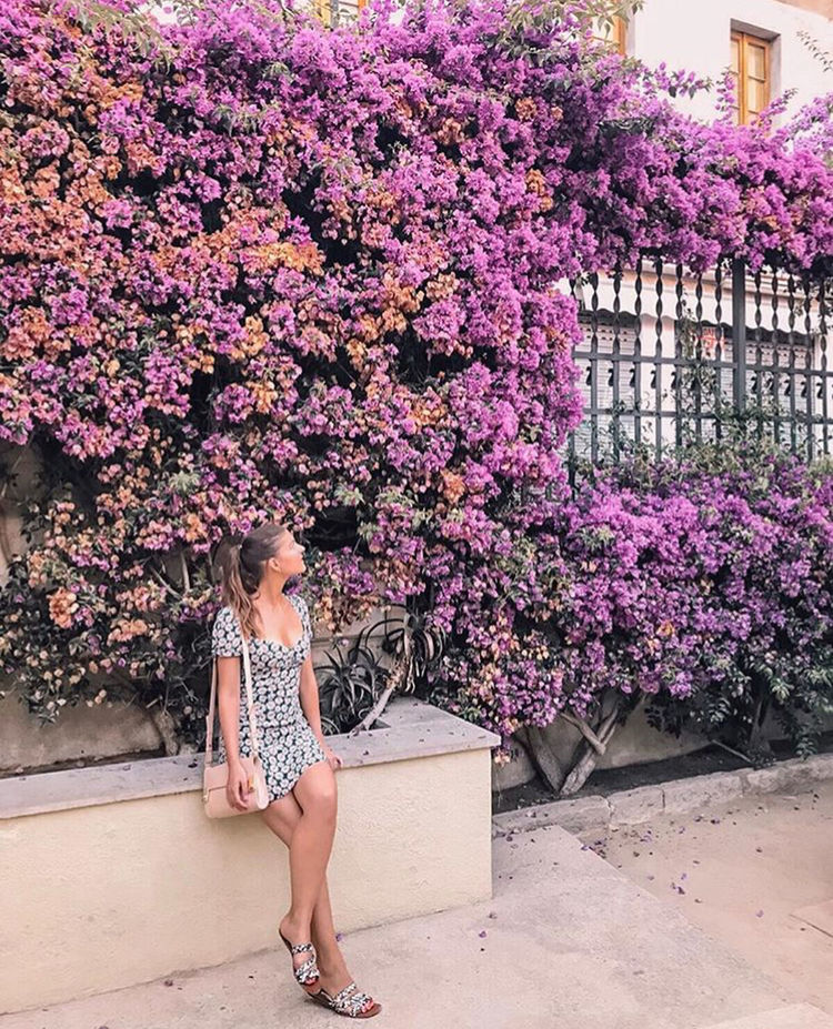 WOMAN STANDING BY PINK FLOWERING PLANT