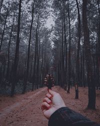 Person hand by trees in forest