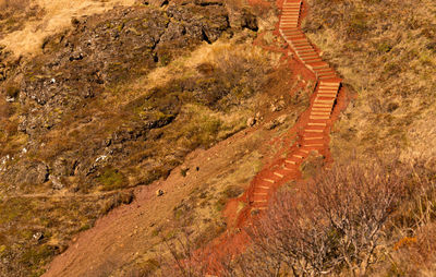 High angle view of footpath