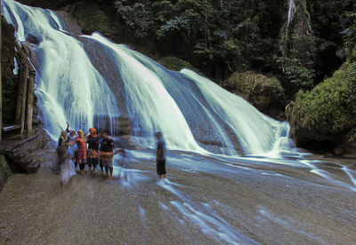 Scenic view of waterfall in forest