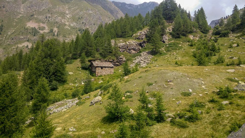 Scenic view of trees and stone house on mountain 