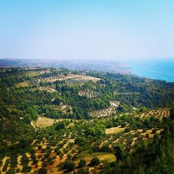 Aerial view of city