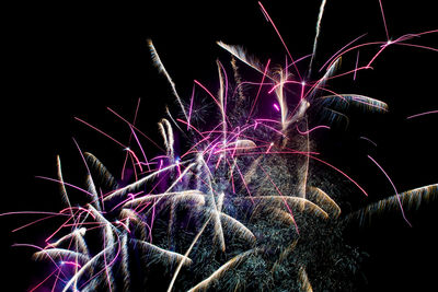 Firework display at night