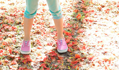 Low section of girl standing on petals covered field